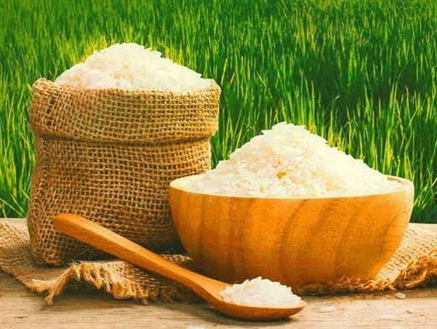 Thị trường lúa gạo ngày 22/7 giữ nhịp ổn định, xuất khẩu bật tăng mạnh