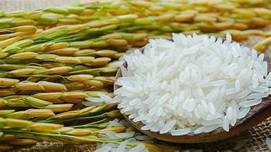 Thị trường lúa gạo ngày 14/8: Gạo xuất khẩu tăng nhẹ, giao dịch trong nước chậm