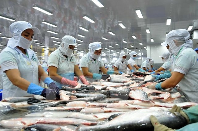 Sẽ yêu cầu Mỹ điều chỉnh nếu quy định về cá tra không đúng chuẩn