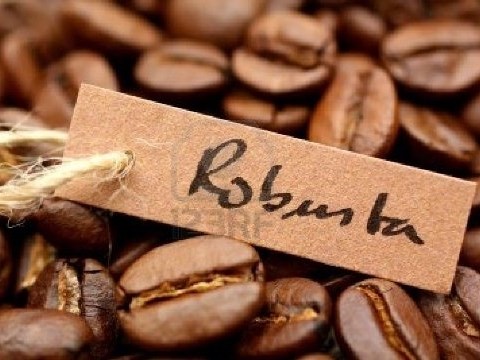 Giá cà phê Robusta xuống thấp nhất 5 năm