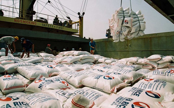 Tháng 1, sản lượng xuất khẩu gạo tăng khoảng 46%