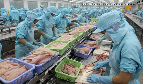 Xuất khẩu thủy sản có thể đạt 7,12 tỷ USD trong năm 2016