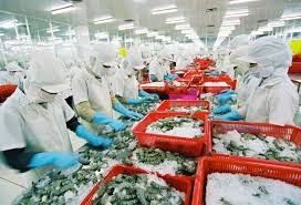Tiền Giang: Nhiều doanh nghiệp chế biến nông thủy sản áp dụng sản xuất sạch hơn