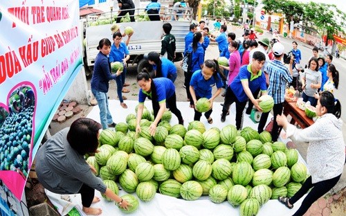 Chuyện dưa, hành qua báo cáo Bộ Công Thương