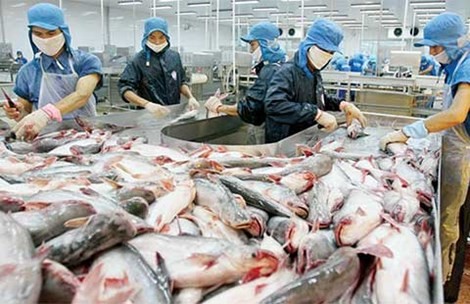 Mất 60 triệu USD vì không hiểu luật Mỹ