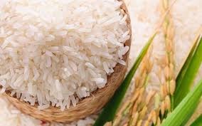 Thị trường lúa gạo ngày 17/9/2020: Giá gạo nguyên liệu xuất khẩu giảm