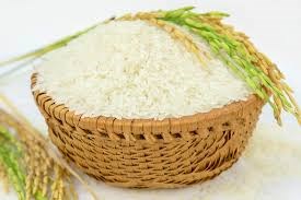 Thị trường lúa gạo ngày 25/9: giá gạo nguyên liệu xuất khẩu giảm nhẹ
