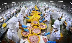 Ai Cập - thị trường tiềm năng cho sản phẩm cá ngừ đóng hộp Việt Nam