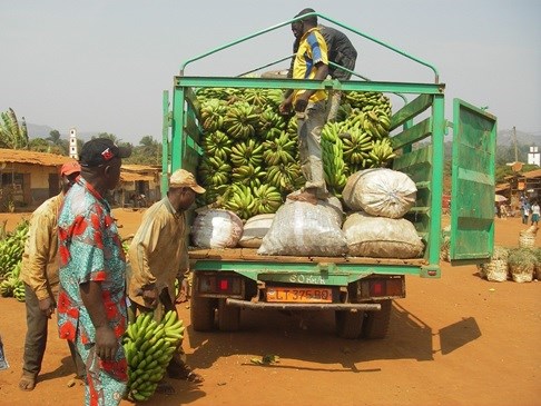 Thực trạng thương mại nông sản của châu Phi