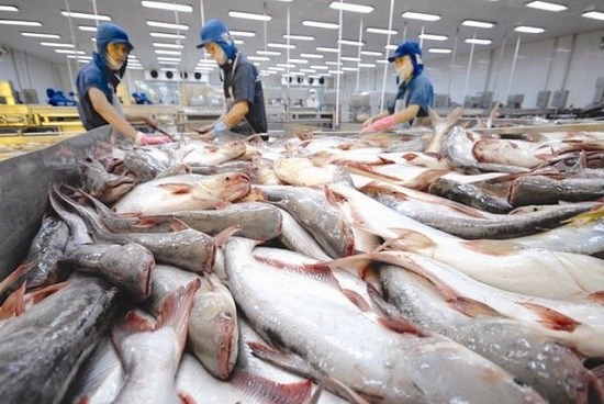 Campuchia hủy lệnh cấm nhập khẩu 4 loại cá da trơn