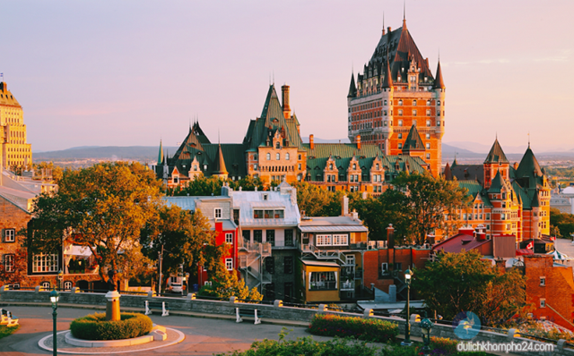 Xuất khẩu hàng Việt Nam sang Canada tăng trưởng trong tháng 3/2021