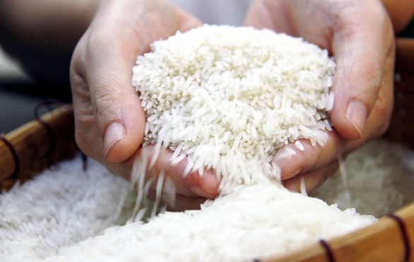 Hạt gạo Việt Nam tại Anh Quốc: thị trường và thương hiệu