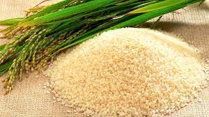 Giá lúa gạo hôm nay 10/6: Gạo nguyên liệu tăng trở lại
