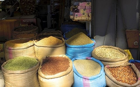 Nông sản Việt Nam được đánh giá tích cực tại thị trường Ma-rốc