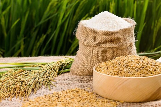 Hàn Quốc mở thầu mua gạo theo cơ chế hạn ngạch thuế quan lần thứ 6 trong năm 2021