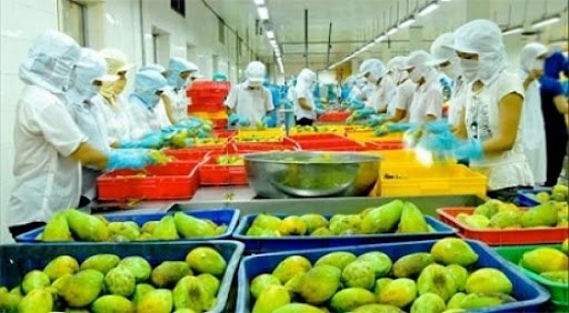 Hiệp định EVFTA yếu tố hỗ trợ để hàng hóa của Việt Nam tăng khả năng cạnh tranh tại thị trường Bỉ
