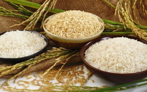 Giá lúa gạo hôm nay 7/10: Gạo nguyên liệu giảm nhẹ