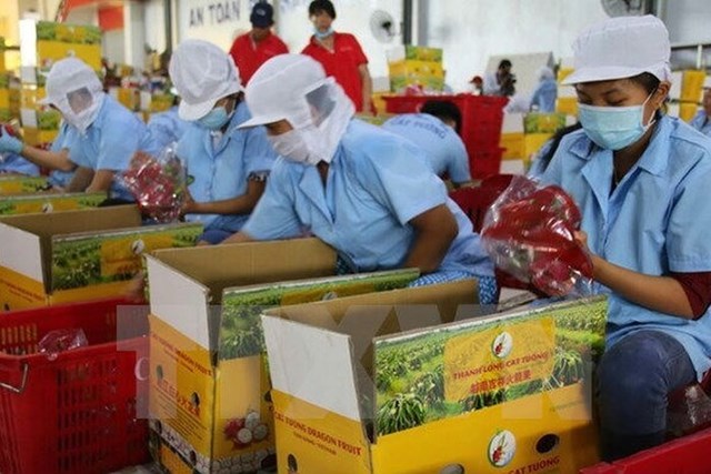 Nhiều cơ hội cho trái cây nhiệt đới Việt Nam vào thị trường EU