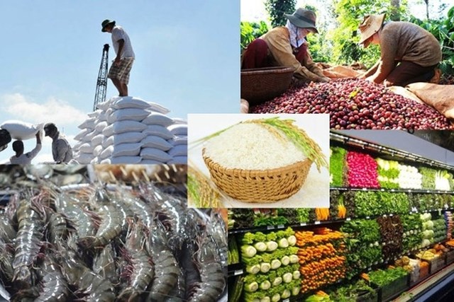 Hội thảo quốc tế phổ biến cách tiếp cận và quy định mới của TT Trung Quốc với nông sản, thực phẩm NK