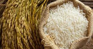 Giá lúa gạo hôm nay 16/11: Gạo nguyên liệu giảm