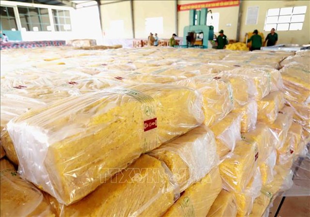 Ấn Độ tăng nhập khẩu cao su từ thị trường Việt Nam