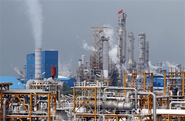 Cơ quan Năng lượng Quốc tế kêu gọi OPEC+ giúp hạ giá dầu