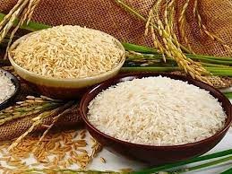Giá lúa gạo hôm nay 6/1 ổn định