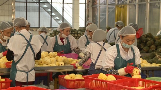 Trung Quốc tăng nhập khẩu rau quả chế biến từ thị trường Việt Nam