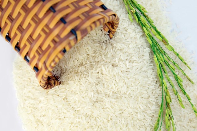 Thị trường lúa gạo ngày 25/2: Gạo nguyên liệu ổn định