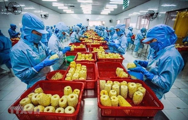 Hoa Kỳ trở thành thị trường nhập khẩu nông sản lớn nhất của Việt Nam