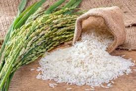 Thị trường lúa gạo ngày 31/3 ổn định