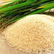 Thị trường lúa gạo ngày 20/4 ổn định