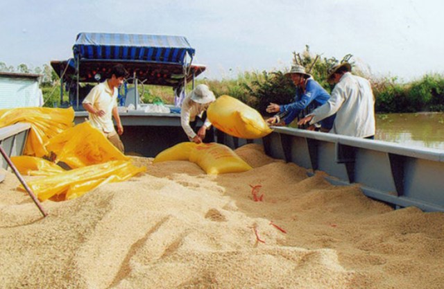 Để gia tăng xuất khẩu gạo sang thị trường ASEAN