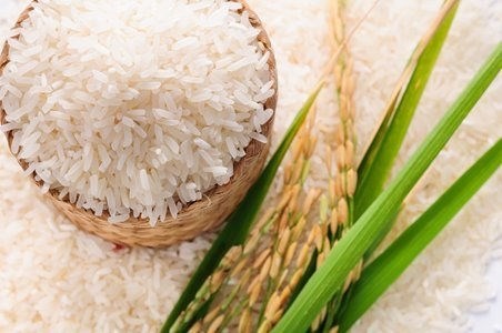 Giá lúa gạo hôm nay 7/6 đi ngang