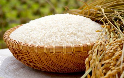 Giá lúa gạo hôm nay 8/6: Gạo nguyên liệu giảm