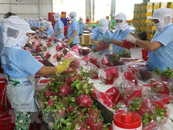 Xuất khẩu trái cây Việt: Tìm cách 'mở cửa' các thị trường giá trị cao