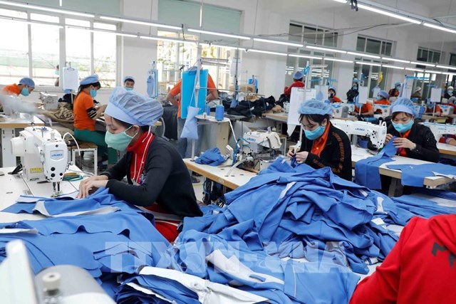 Kim ngạch thương mại Việt Nam – Lào đạt hơn 824 triệu USD
