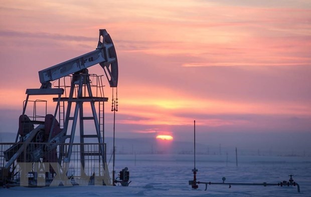 Giá dầu thế giới tuần kết thúc 12/8: Dầu Brent tăng 3,4%