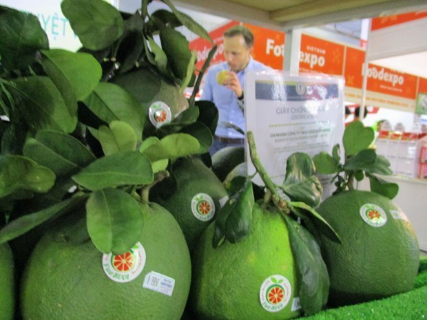 Diễn đàn xúc tiến thương mại trái cây Việt Nam tại Thái Lan