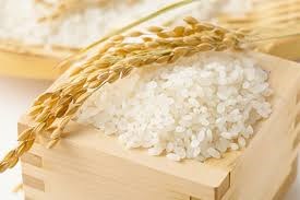 Giá lúa gạo hôm nay 22/11: Gạo nguyên liệu tăng