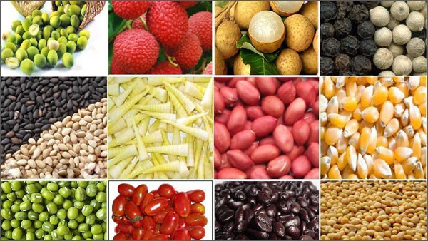 Danh sách các DN Đài Loan nhập khẩu nông sản, thực phẩm, rau quả và hàng tiêu dùng Việt Nam