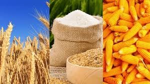 Thị trường lúa gạo trong nước ngày 24/7/2023
