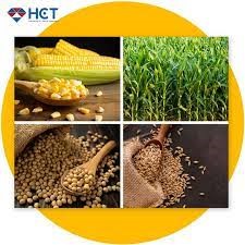 Thị trường hàng hóa trong nước ngày 5/8/2023: Giá lúa gạo tăng nhẹ
