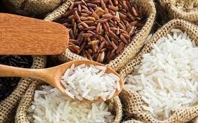 Giá lúa gạo trong nước ngày 14/8/2023: Gạo nguyên liệu giảm
