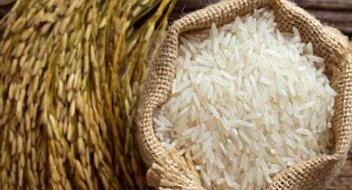 Xuất khẩu gạo tăng 36,1%, đạt 3,17 tỷ USD