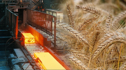Thị trường hàng hóa trong nước ngày 20/5/2025: Giá gạo biến động nhẹ