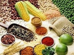 Danh sách các công ty Israel đầu mối nhập khẩu nông sản, thực phẩm chế biến các loại