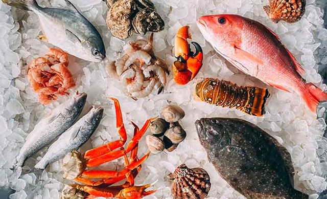 Tác động của EVFTA tới xuất khẩu thủy sản của Việt Nam sang EU trong 8 tháng năm 2025