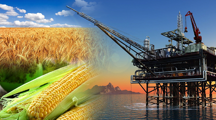 Thị trường hàng hóa trong nước ngày 19/11/2025: Giá vàng tăng trở lại