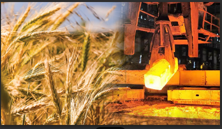 Thị trường hàng hóa trong nước ngày 13/1/2026